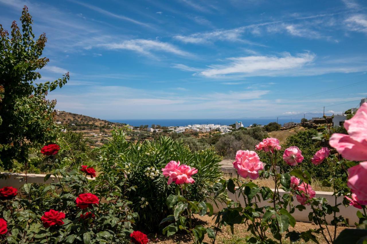 Eutuxia Rooms & Studios Apollonia Dış mekan fotoğraf